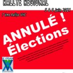 Affiche Rallye du Pays Viganais 2020
